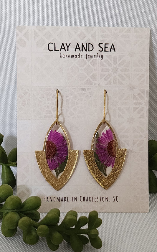 Real Pressed Aster Flowers - Multiple Colors