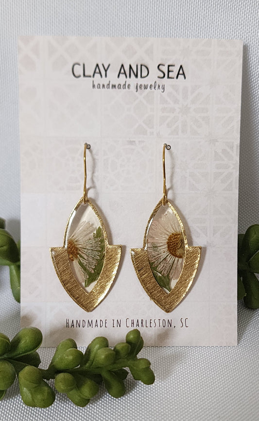 Real Pressed Aster Flowers - Multiple Colors