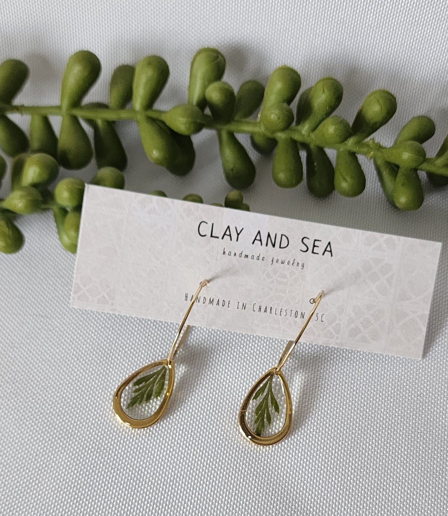 Real Pressed Fern Earrings- Multiple Shapes