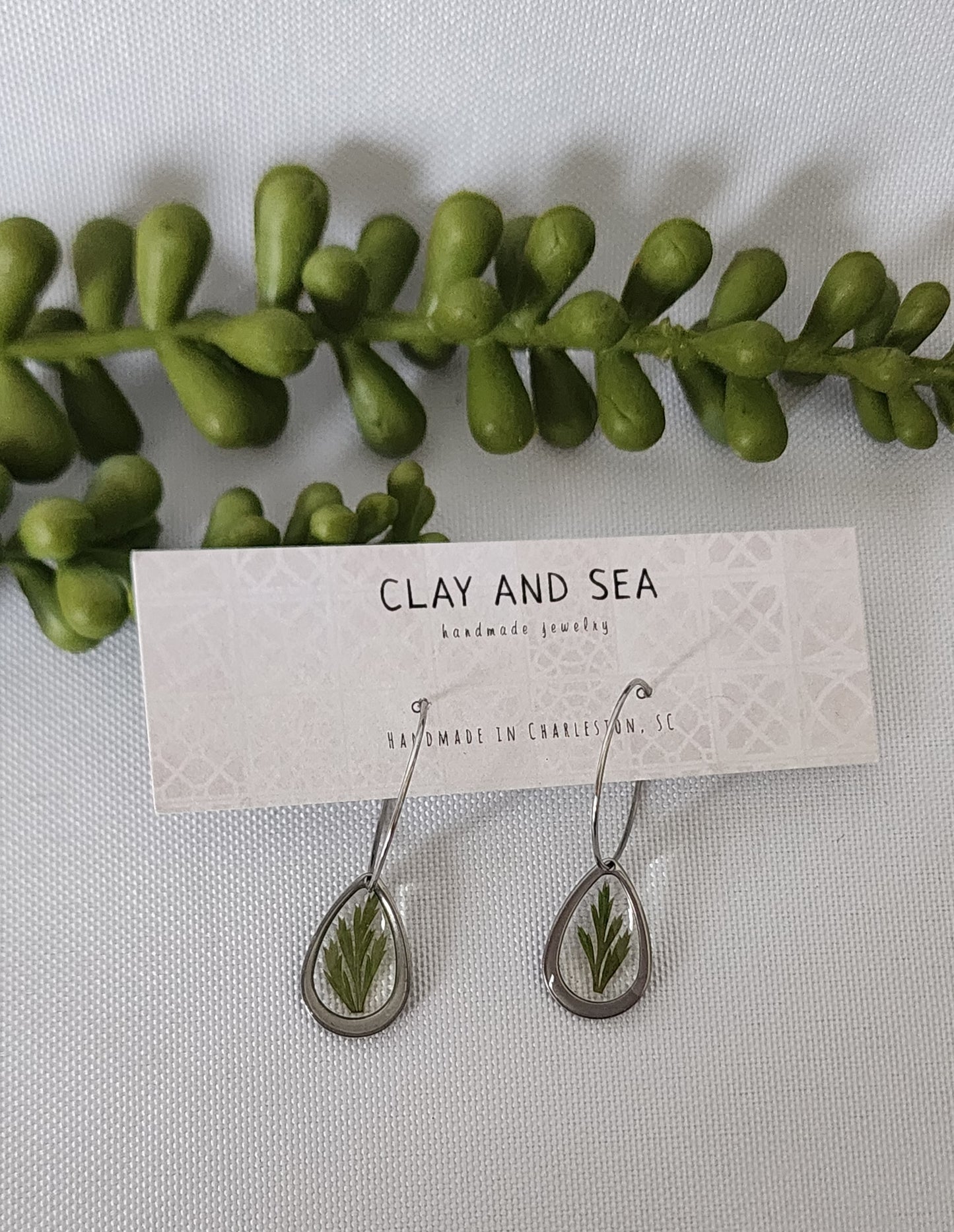 Real Pressed Fern Earrings- Multiple Shapes