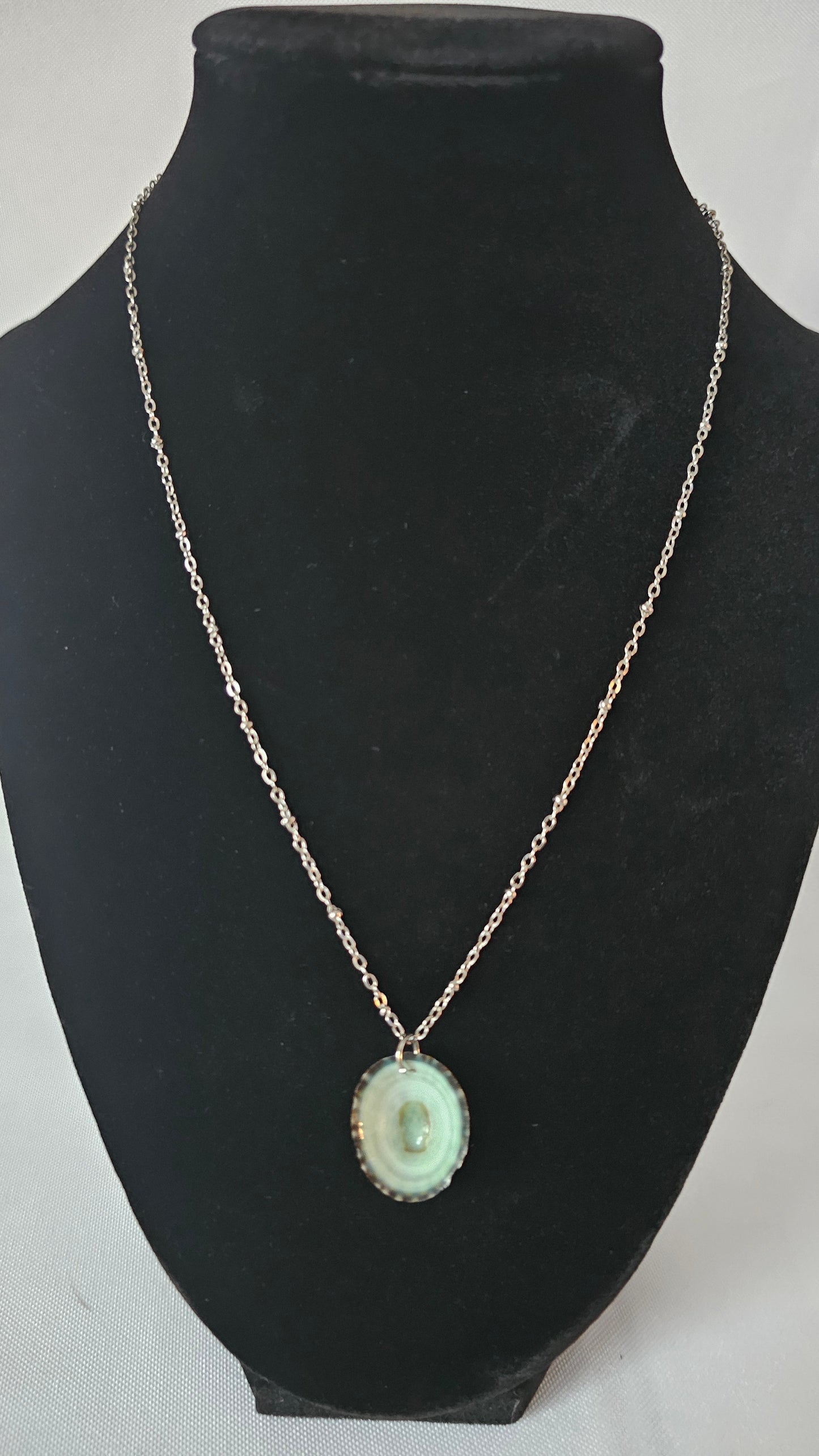 Coastal Limpet Shell Necklace