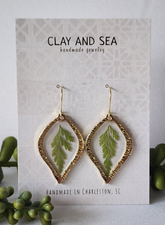 Real Pressed Fern Earrings- Multiple Shapes