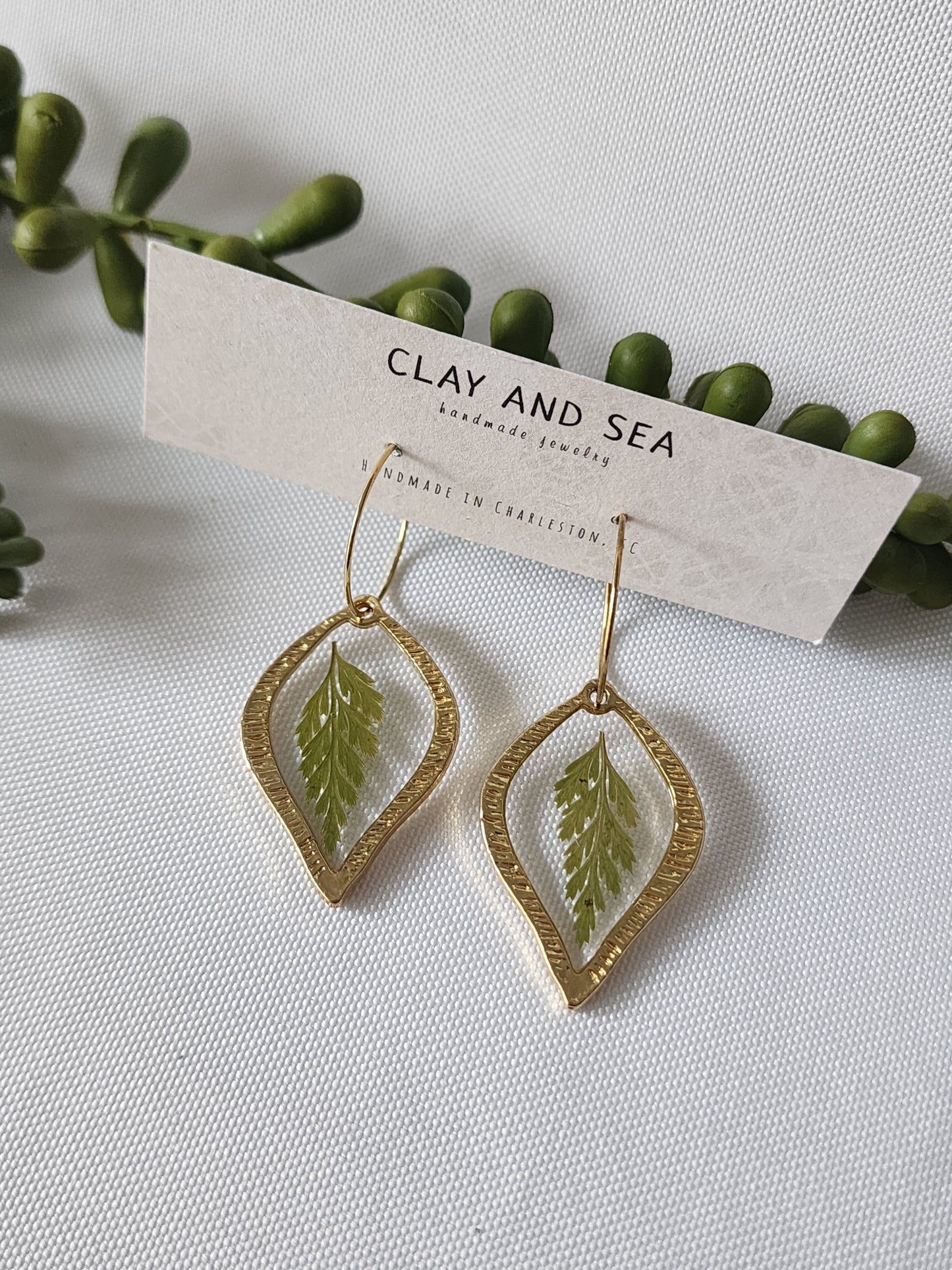Real Pressed Fern Earrings- Multiple Shapes